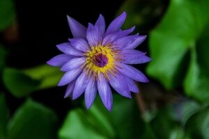 G19b24643b45bcd3a9d94c4ab48a50f74b677214a9cb5dccc63bbd8ebcc4778989c76aaf1d8ffdc2bba982b43b93efbb2ca026f3f674628321786ce46ce72fe6b 640