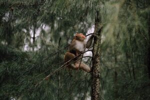 G7739f05bdce541e0f4bc32d7ff138543e5e976b9cbb24057bc2f5523fef86ec6675bc15cea29cf59f5eb964d33d7ae825894b67f1759d583eba52eab2fd4fbc4 640