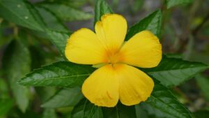 G98cdacb989308d4d5e867118867ef02eb2294e94646b4cedf1acd6409ec6a25fdd77720ab42490b85144e67caa398440399096159b12e662524d0cccbb050cb5 640